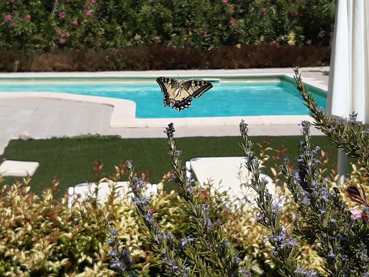 chania-crete-organic-farm-villa-green-orange-villa safe-holidays-greece