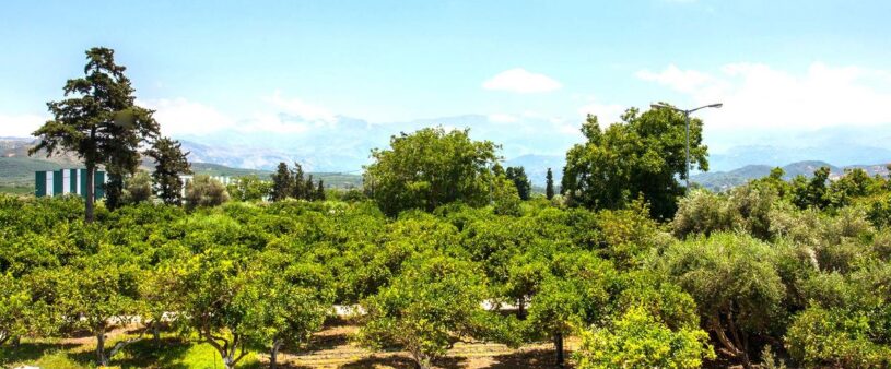 holiday-homes-chania-apartment2_02-green-orange-villa-organic-farm safe-holidays-greece