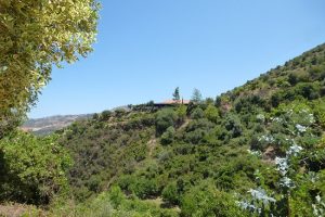 Organic Trees and Bird farm Luxury Villa in Chania, The Green Orange Villa