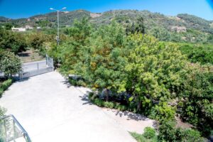 Commercial property For Sale Green Orange Villa & Business & Building & Plot & Avocado-Orange trees Bio/ Organic Cultivation green-orange-parking-31 - near Platanias Chania Crete Greece