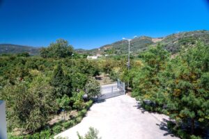 Commercial property For Sale Green Orange Villa & Business & Building & Plot & Avocado-Orange trees Bio/ Organic Cultivation green-orange-parking-32 near Platanias Chania Crete Greece