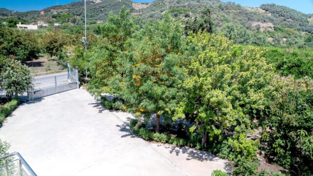 Commercial property For Sale Green Orange Villa & Business & Building & Plot & Avocado-Orange trees Bio/ Organic Cultivation green-orange-parking-31 - near Platanias Chania Crete Greece Commercial property For Sale Green Orange Villa & Business & Building & Plot & Avocado-Orange trees Bio/ Organic Cultivation green-orange-parking-31 - near Platanias Chania Crete Greece