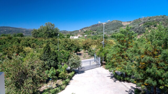 Commercial property For Sale Green Orange Villa & Business & Building & Plot & Avocado-Orange trees Bio/ Organic Cultivation green-orange-parking-32 near Platanias Chania Crete Greece Commercial property For Sale Green Orange Villa & Business & Building & Plot & Avocado-Orange trees Bio/ Organic Cultivation green-orange-parking-32 near Platanias Chania Crete Greece